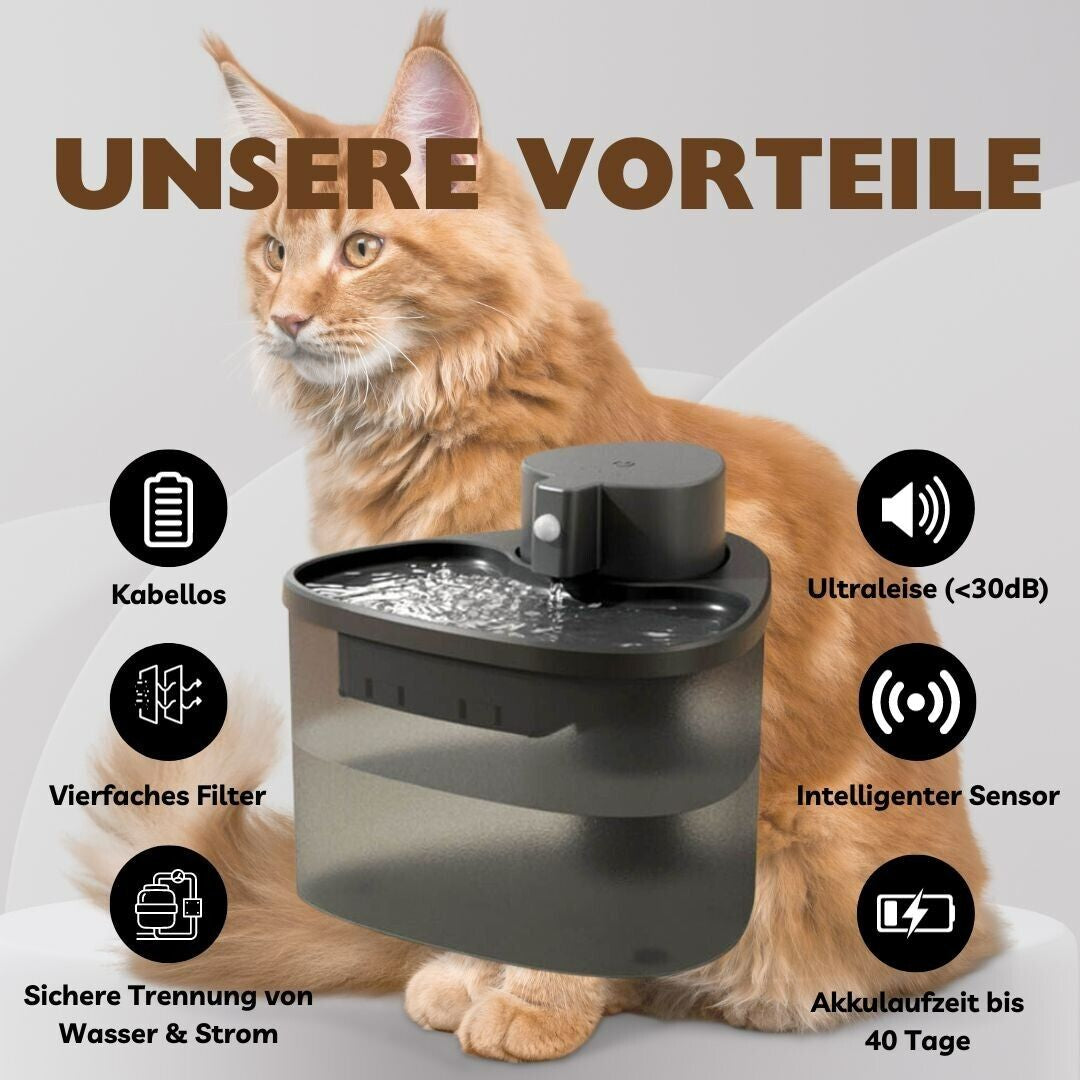 Kabelloser Katzenbrunnen mit Sensor - 2L, Ultra-Leise (30db) für glückliche und gesunde Katzen